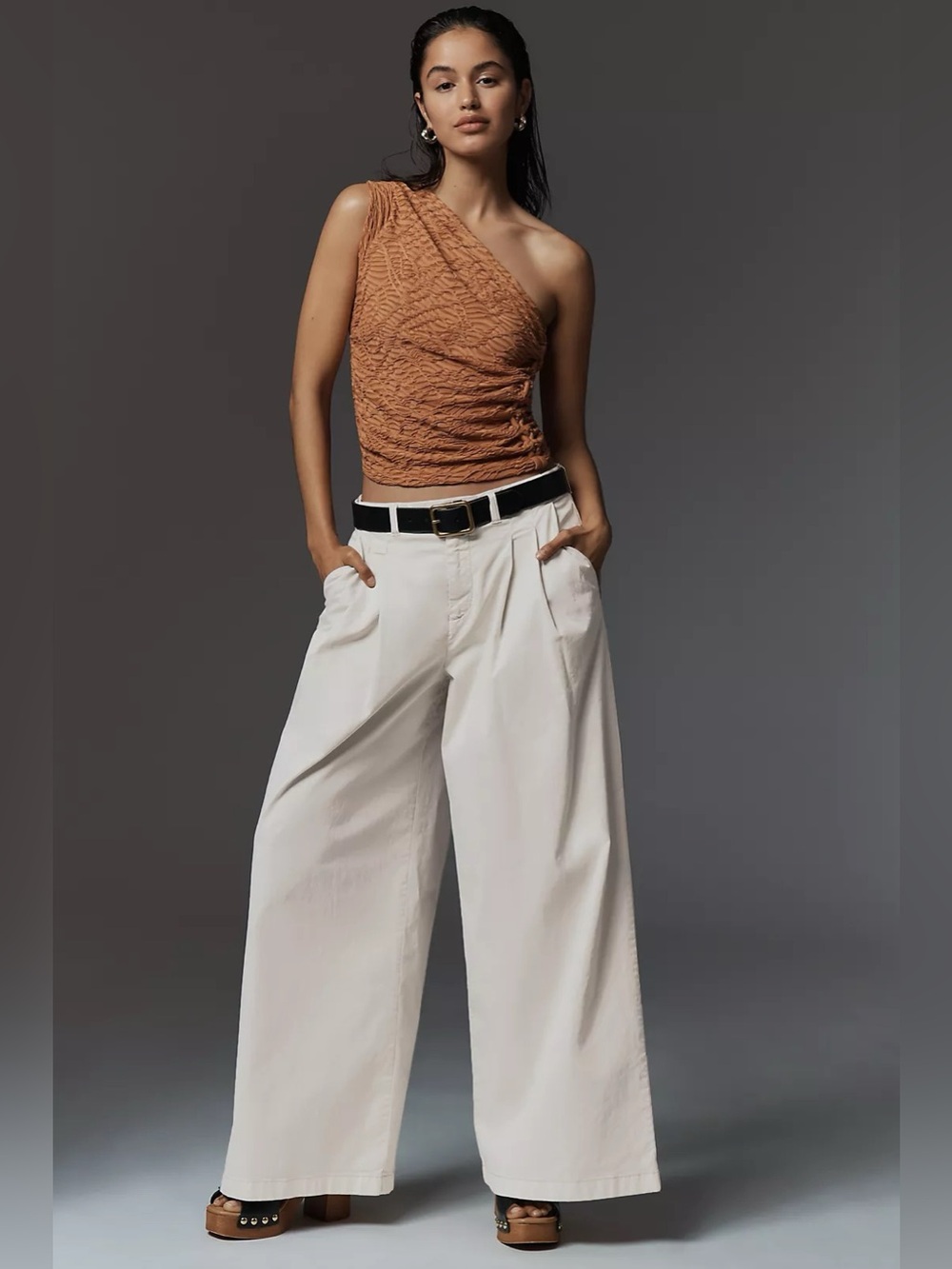NWT By Anthropologie Low-Rise Pleated Wide-Leg Trousers